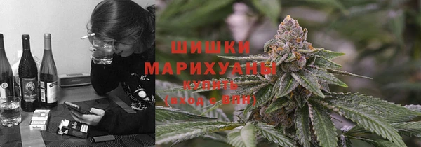 тгк Алзамай