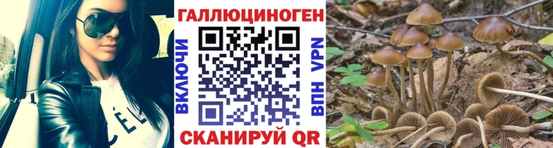Псилоцибиновые грибы Psilocybe  магазин    Усть-Джегута 